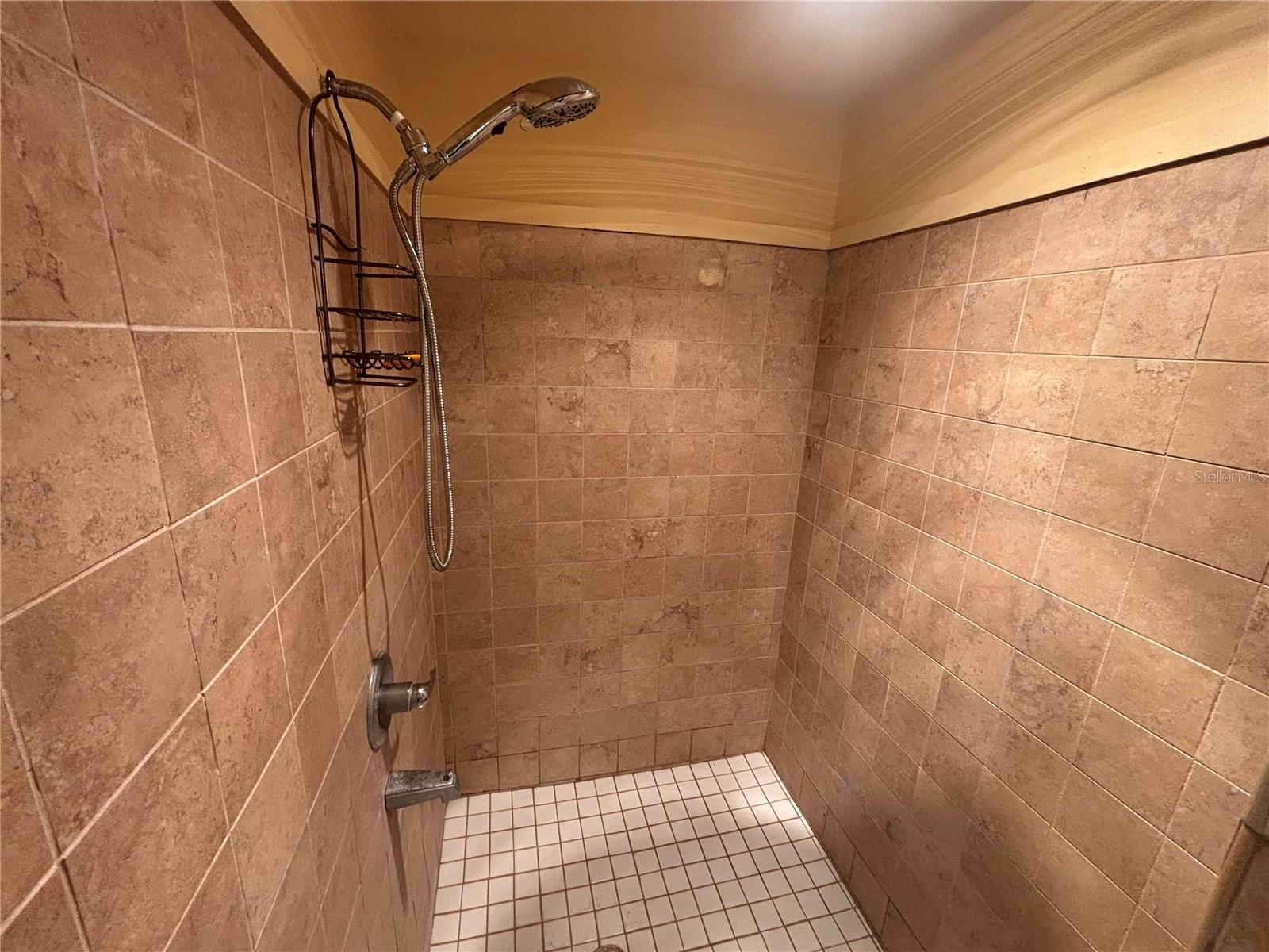 Image 24 of 56 For 536 Marion Oaks Golf Road