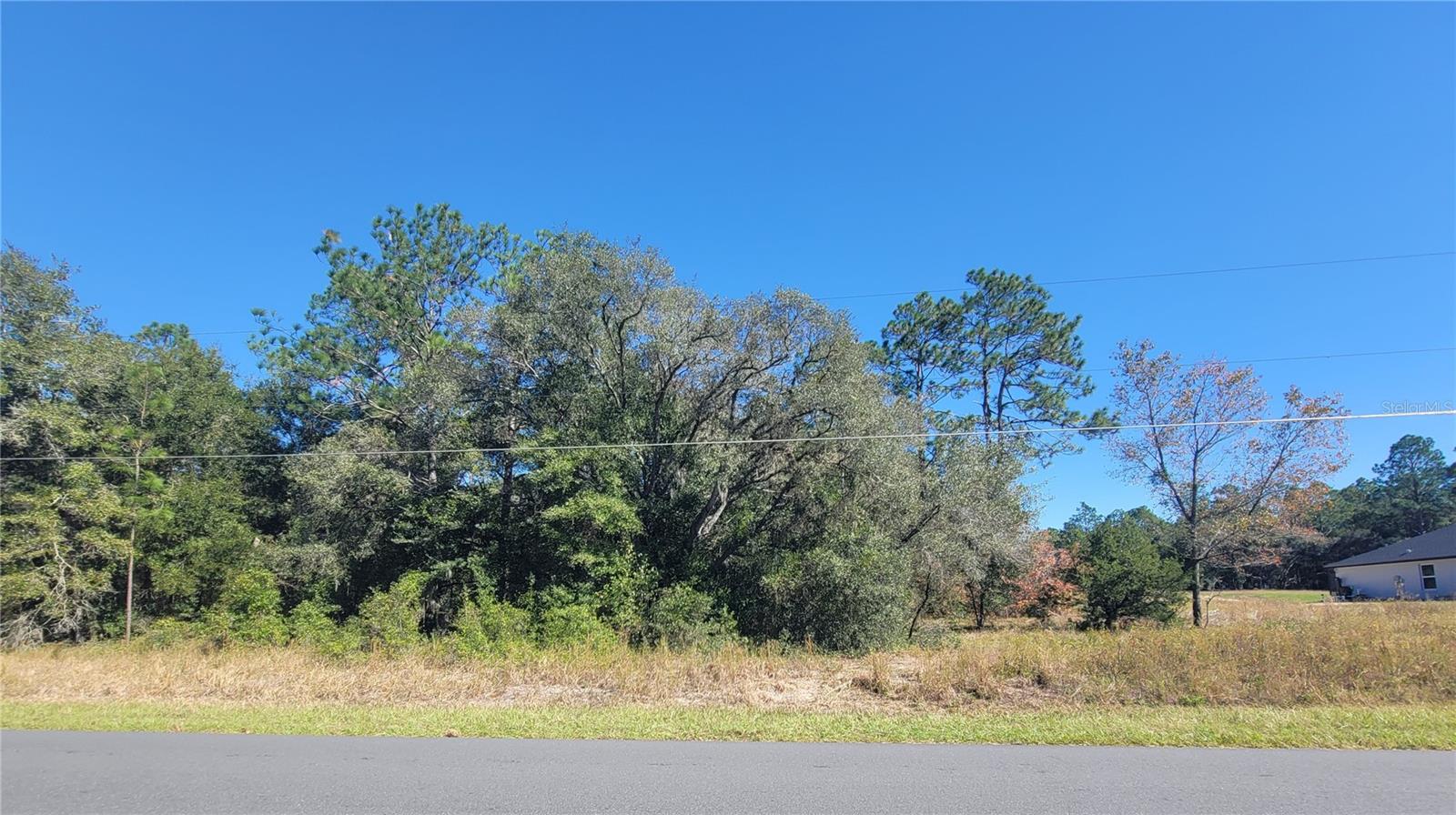 Image 6 of 11 For Soundview Drive