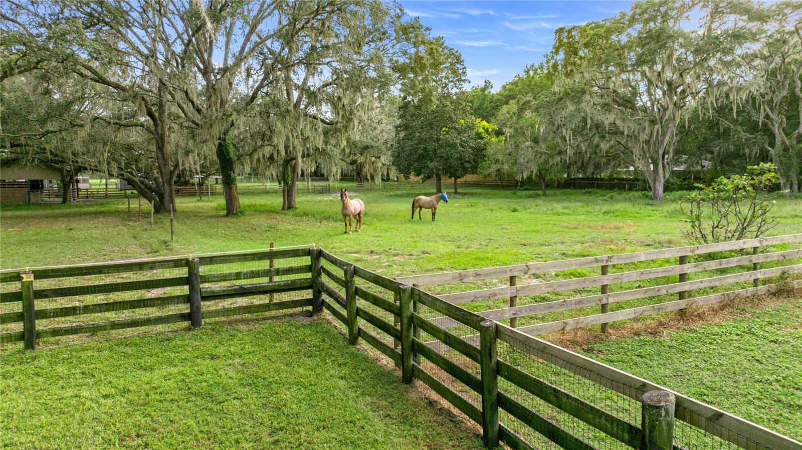 Image 64 of 83 For 10245 105th Street