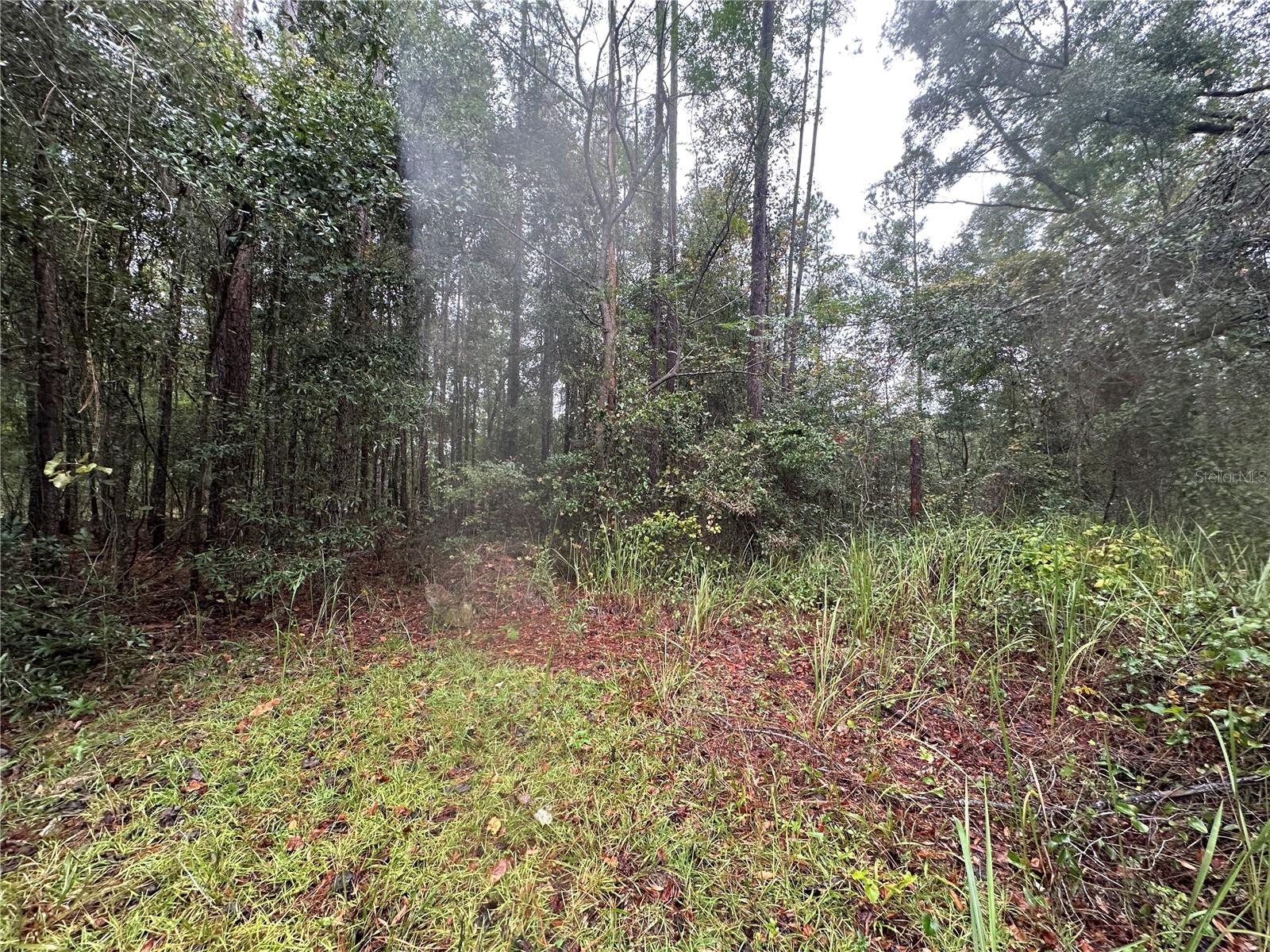 Image 48 of 90 For 1160 Dyal Avenue