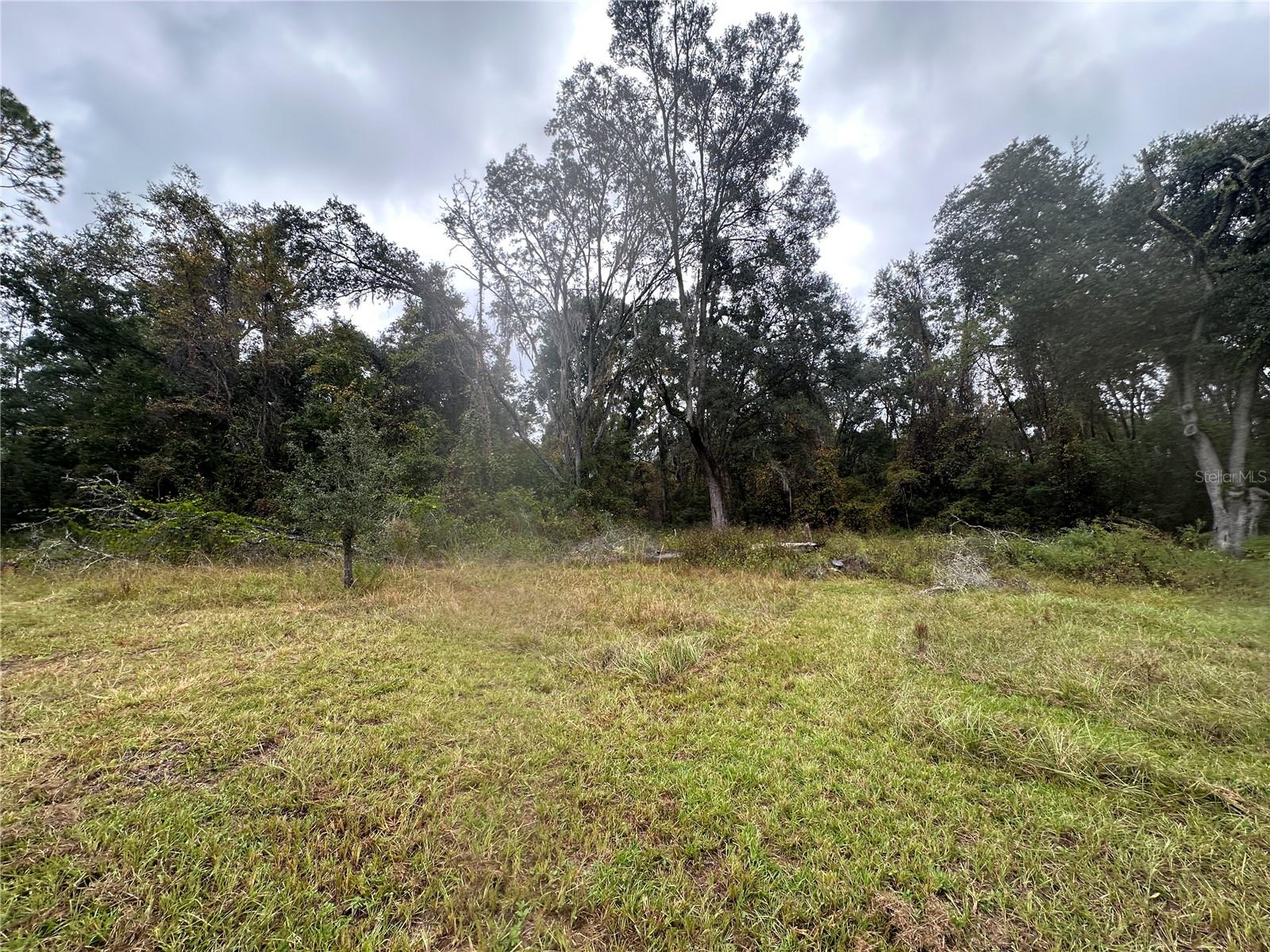 Image 52 of 90 For 1160 Dyal Avenue