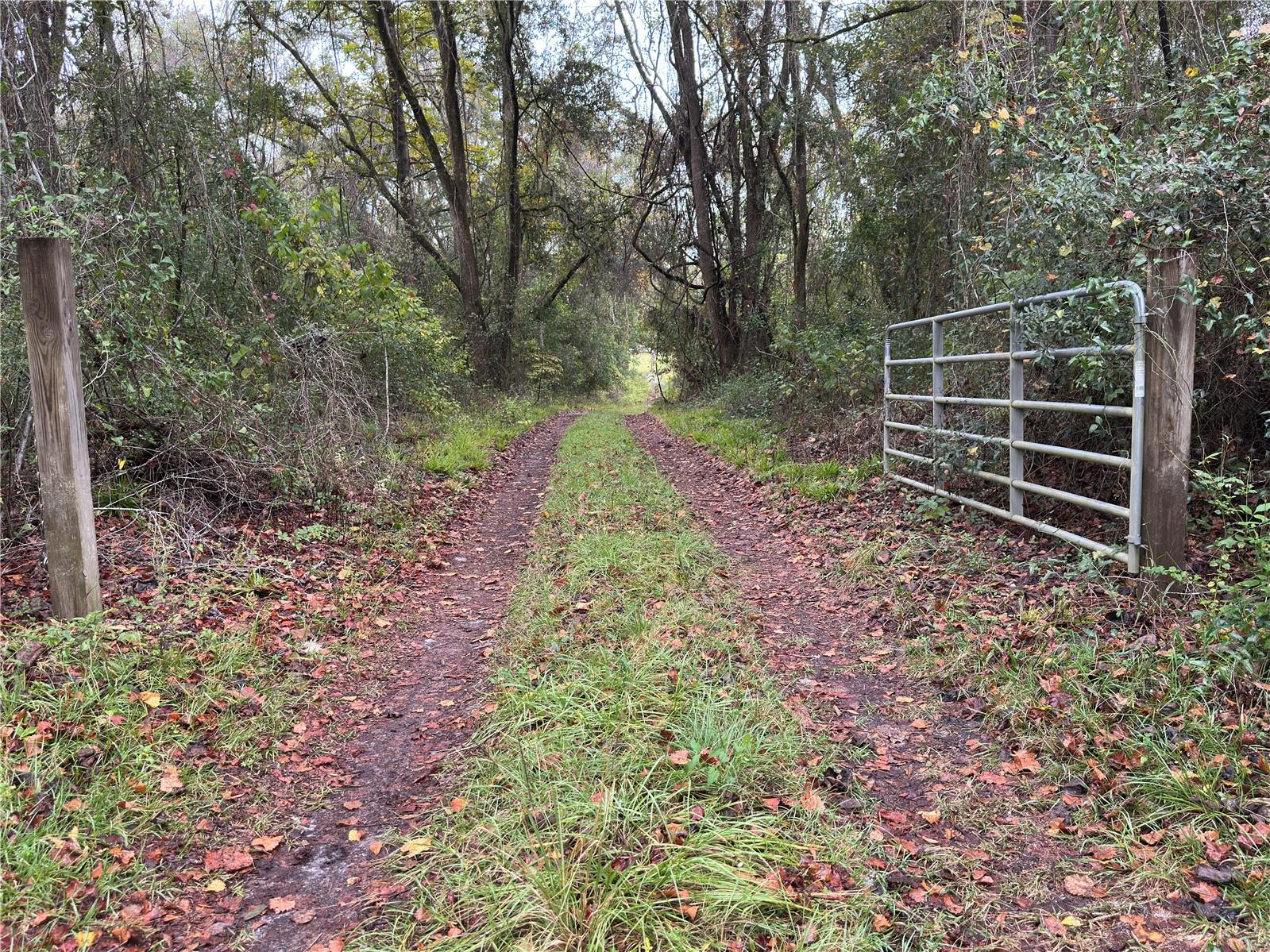 Image 67 of 90 For 1160 Dyal Avenue