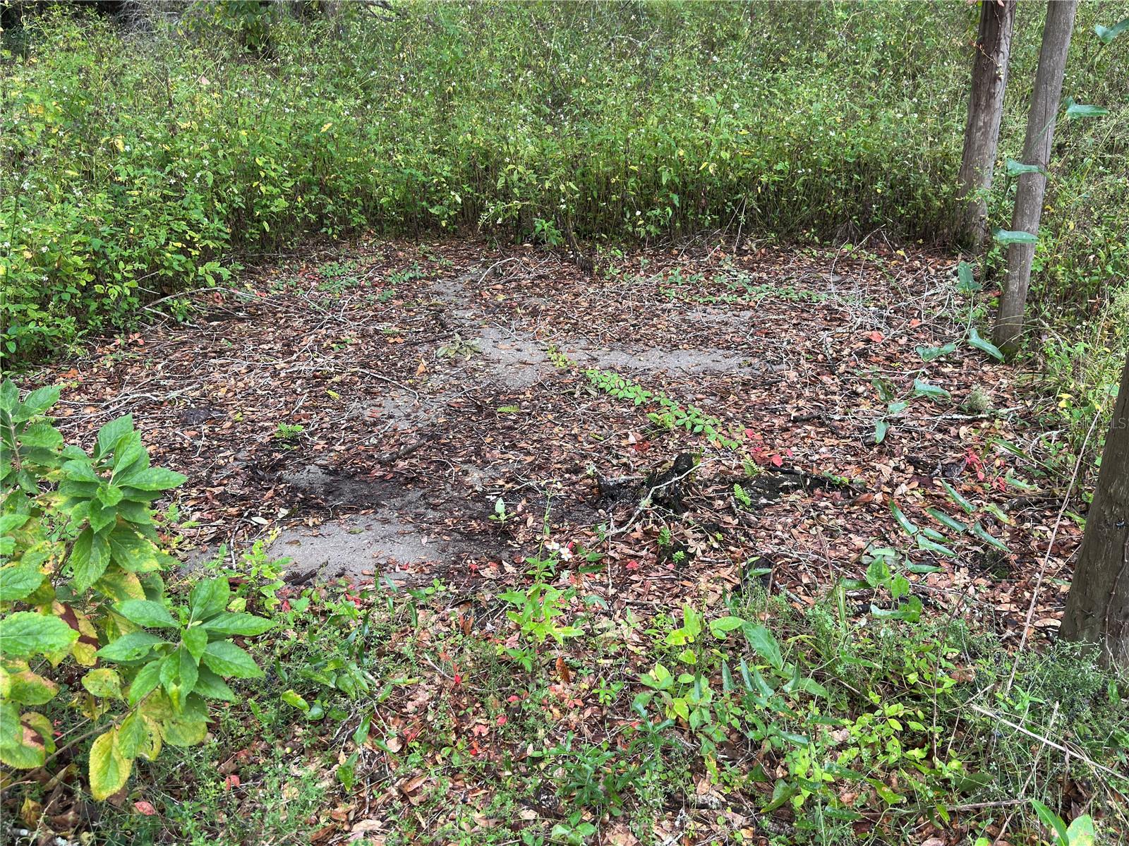 Image 72 of 90 For 1160 Dyal Avenue