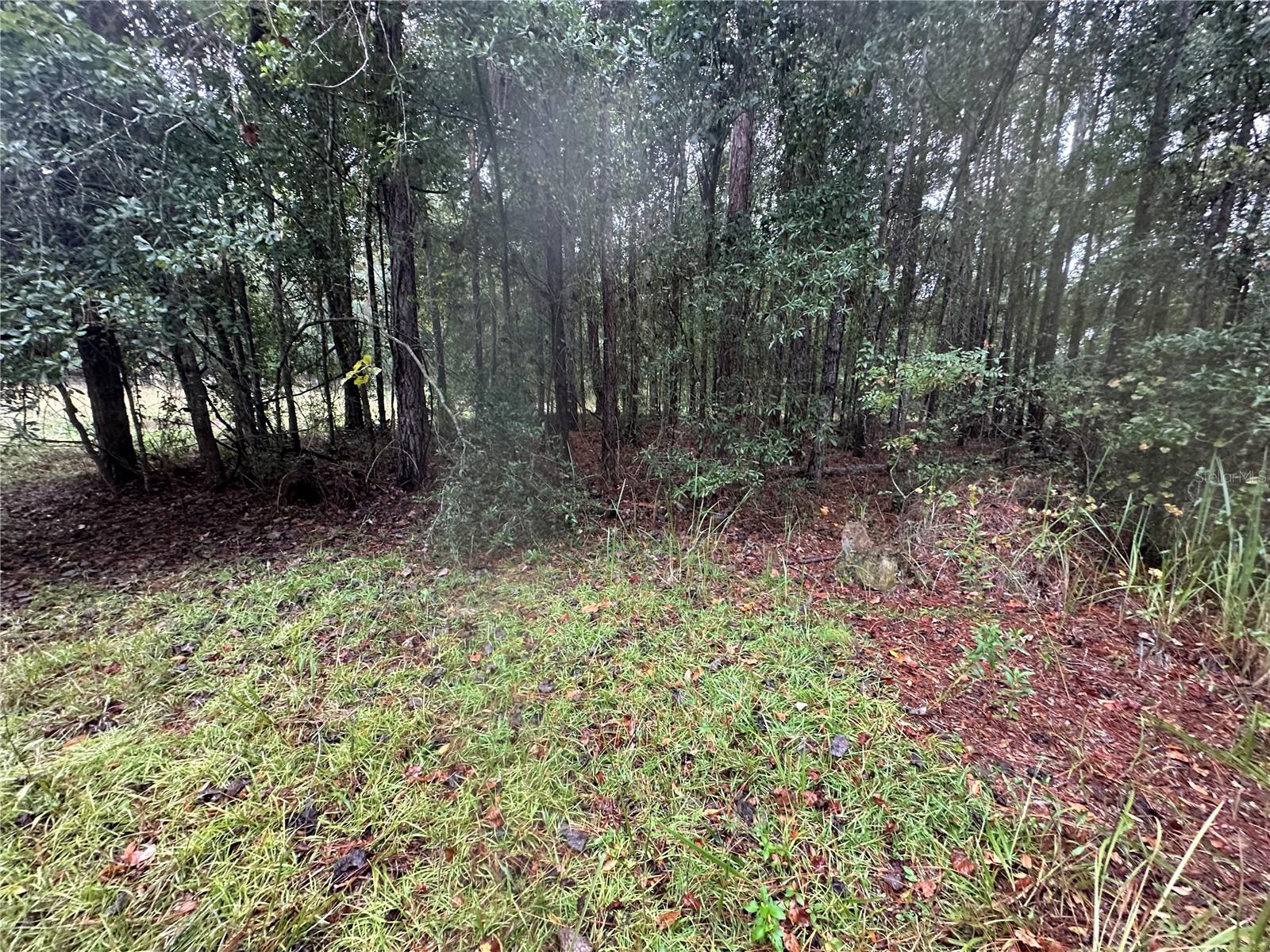 Image 77 of 90 For 1160 Dyal Avenue