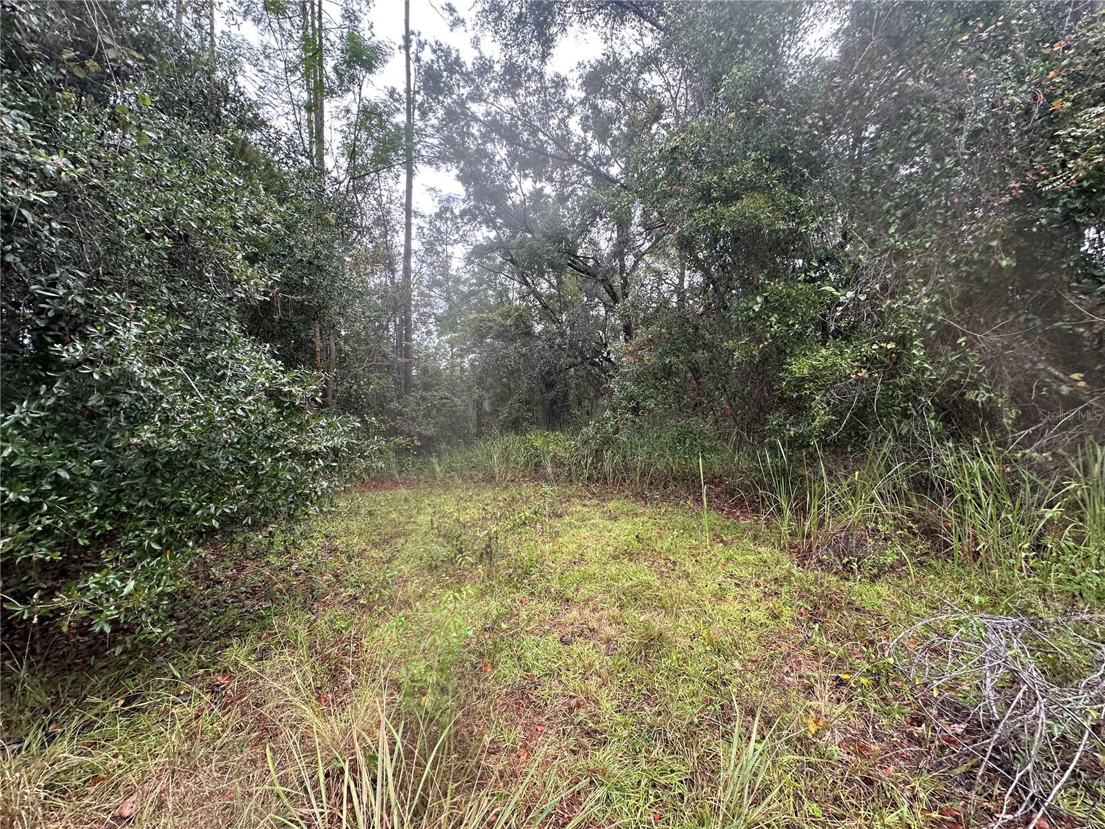 Image 78 of 90 For 1160 Dyal Avenue