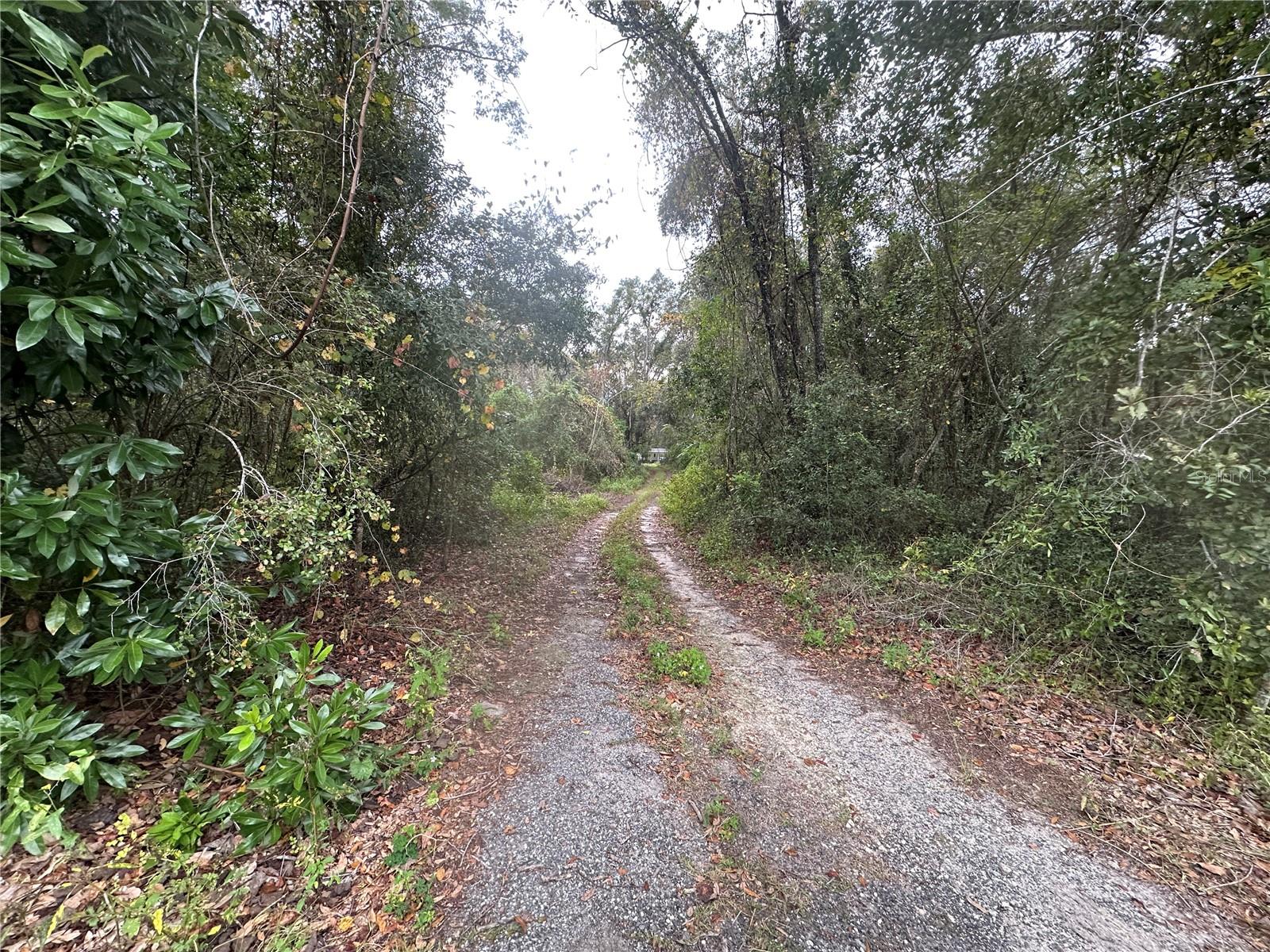 Image 79 of 90 For 1160 Dyal Avenue