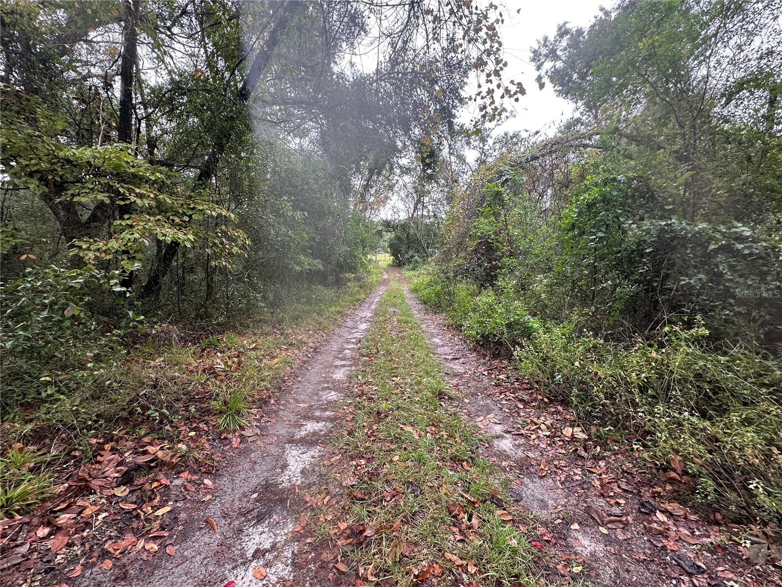 Image 82 of 90 For 1160 Dyal Avenue