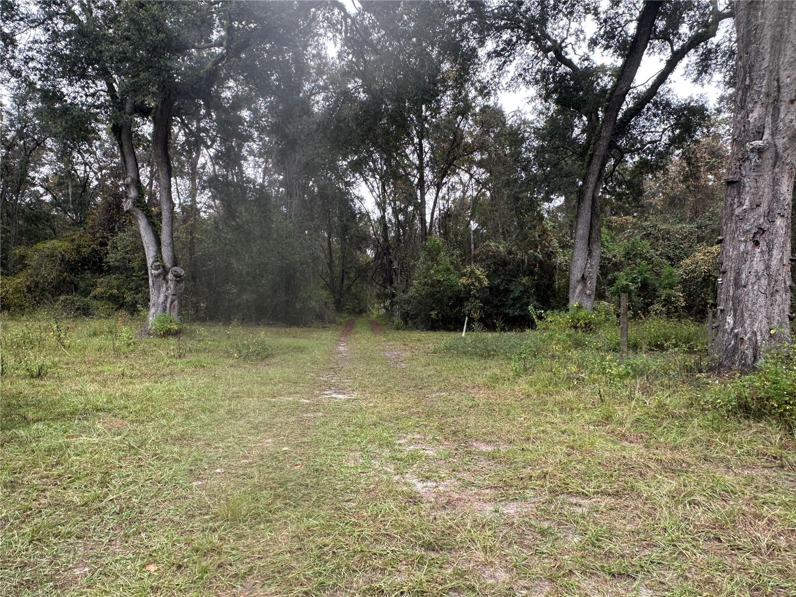 Image 83 of 90 For 1160 Dyal Avenue