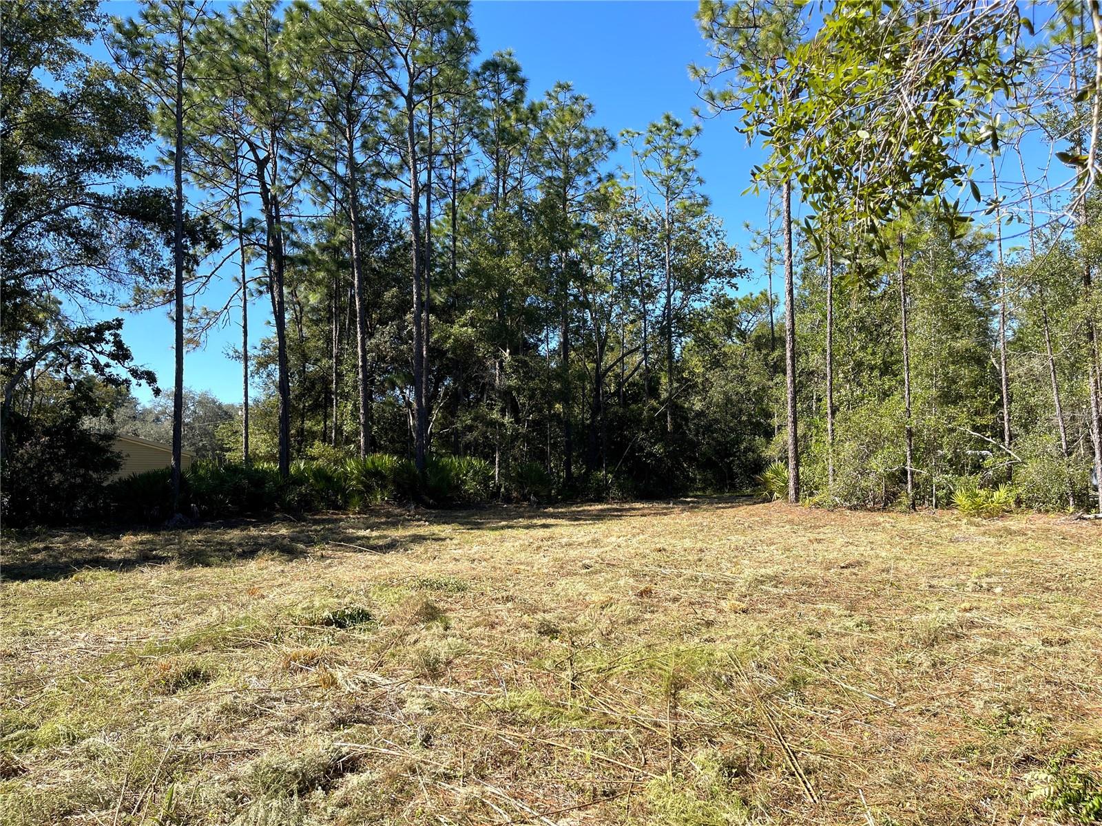 Listing photo id 13 for 6712 Macopin Lane