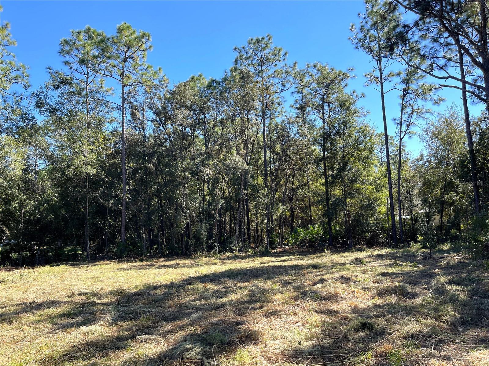 Listing photo id 0 for 6712 Macopin Lane