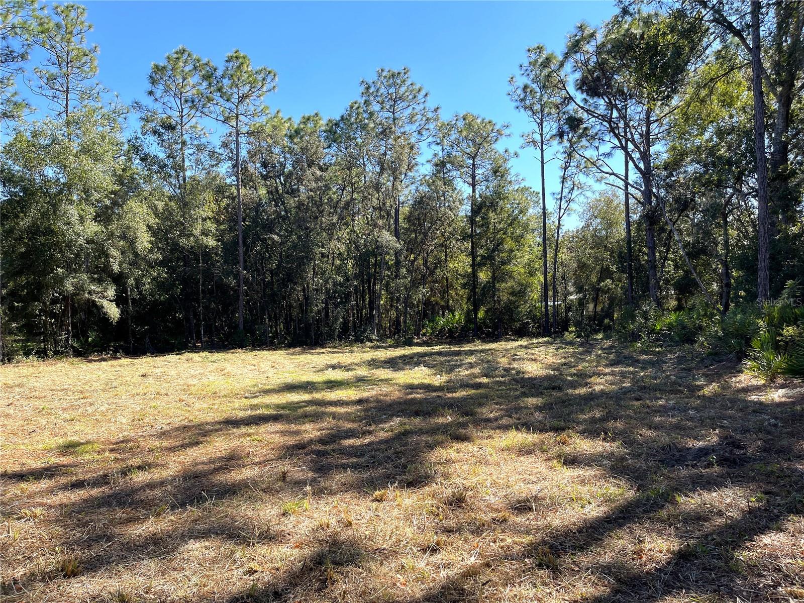 Listing photo id 5 for 6712 Macopin Lane