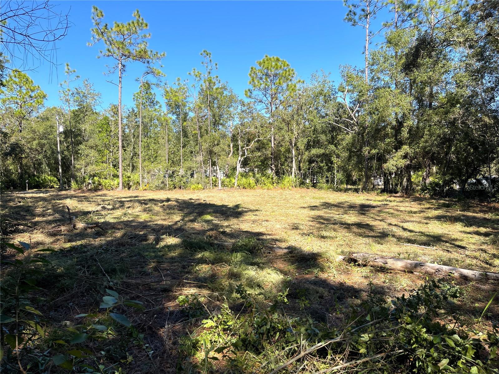 Listing photo id 6 for 6712 Macopin Lane