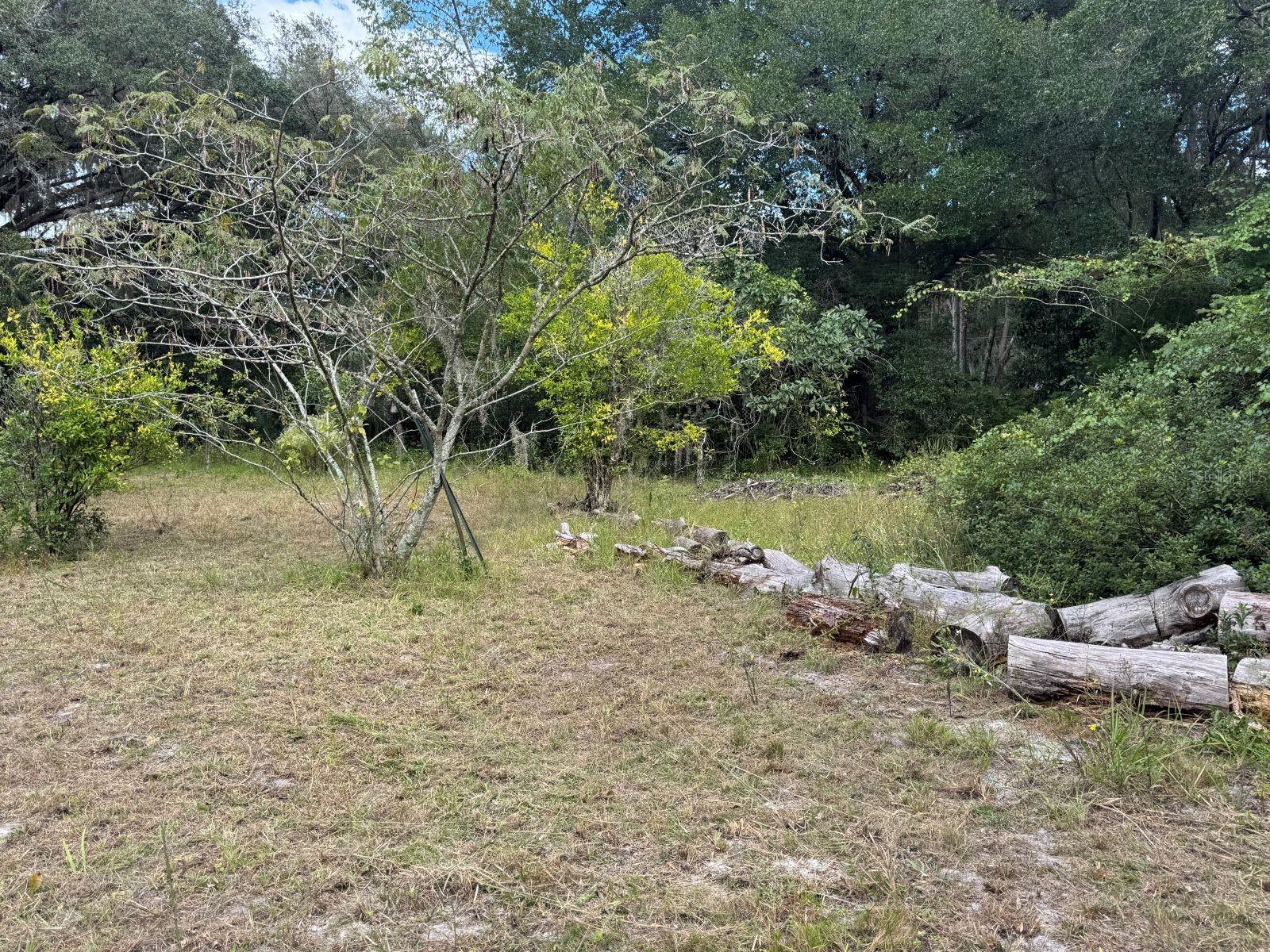 Image 2 of 6 For 16323 138th Court