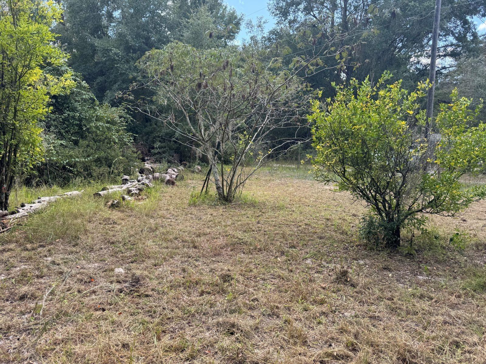 Image 3 of 6 For 16323 138th Court