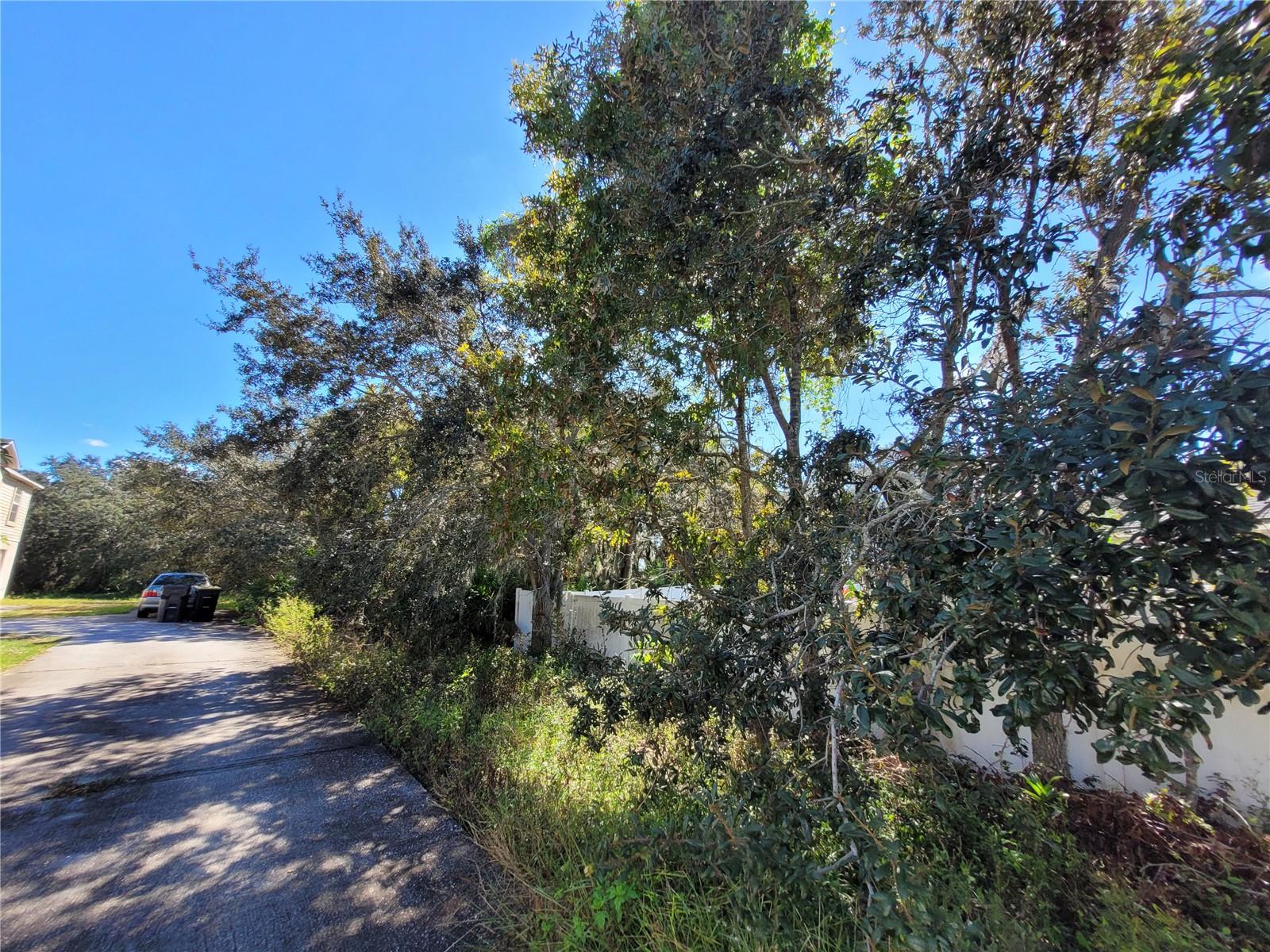 Image 5 of 18 For 1929 Manatee Drive