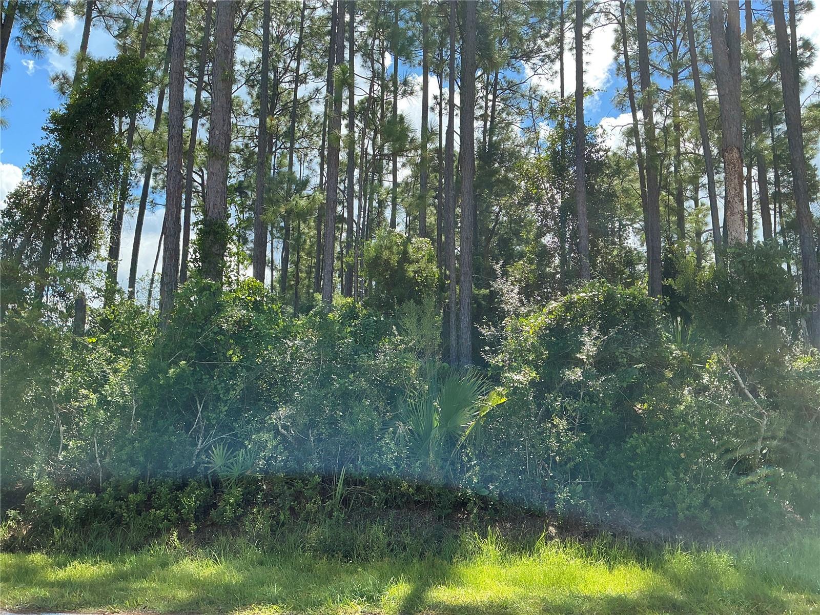 Details for 53 Fenwick Lane, PALM COAST, FL 32137