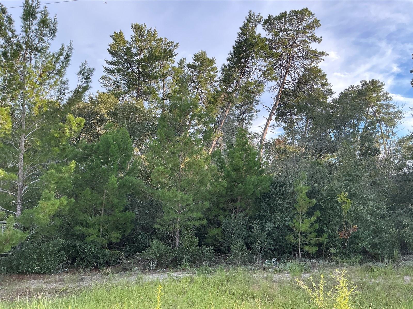 Details for 0 112th Street, OCALA, FL 34476