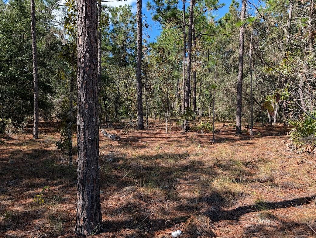 Image 7 of 9 For  69th Place 