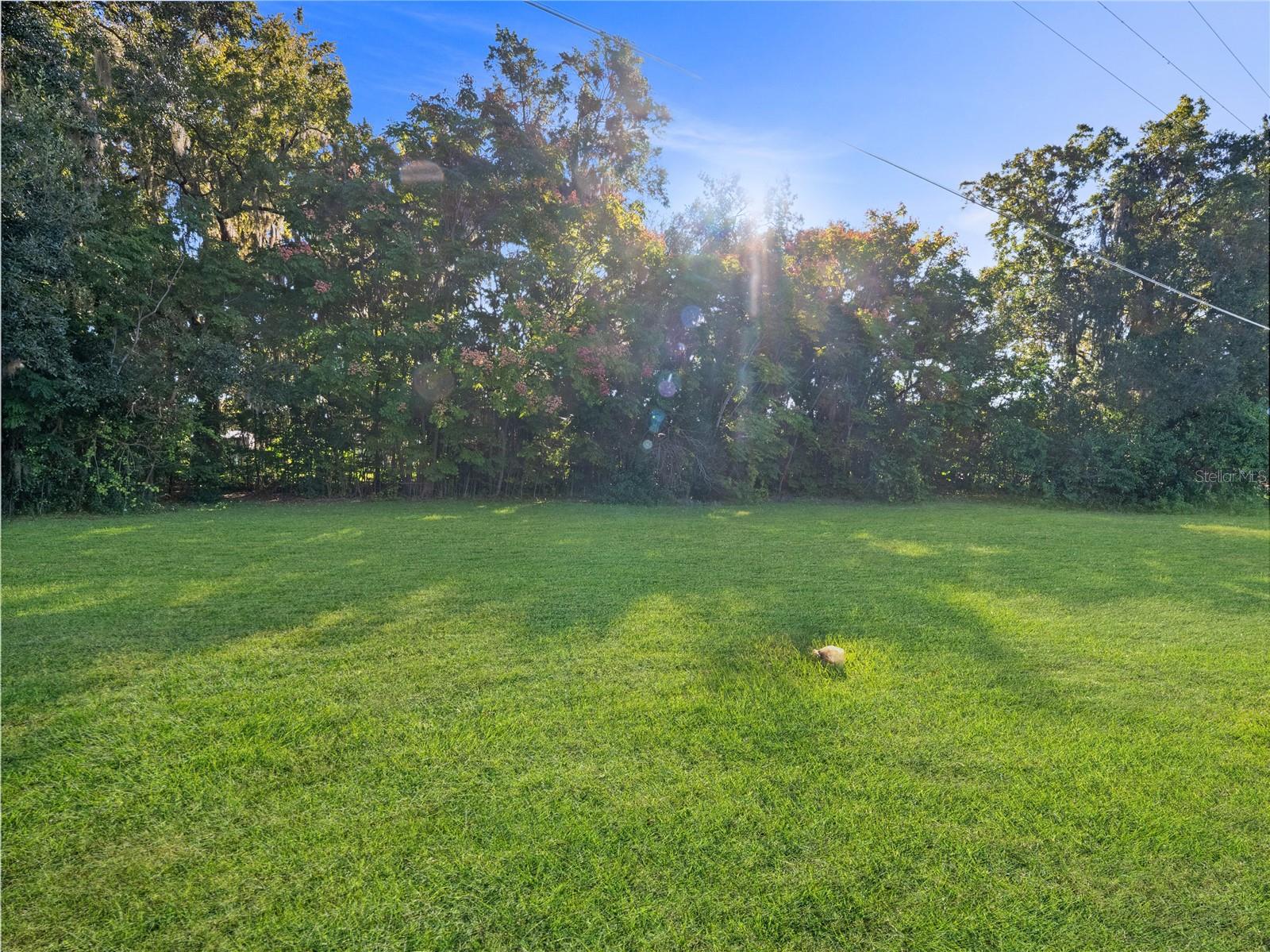 Details for 00 17th Street, OCALA, FL 34471