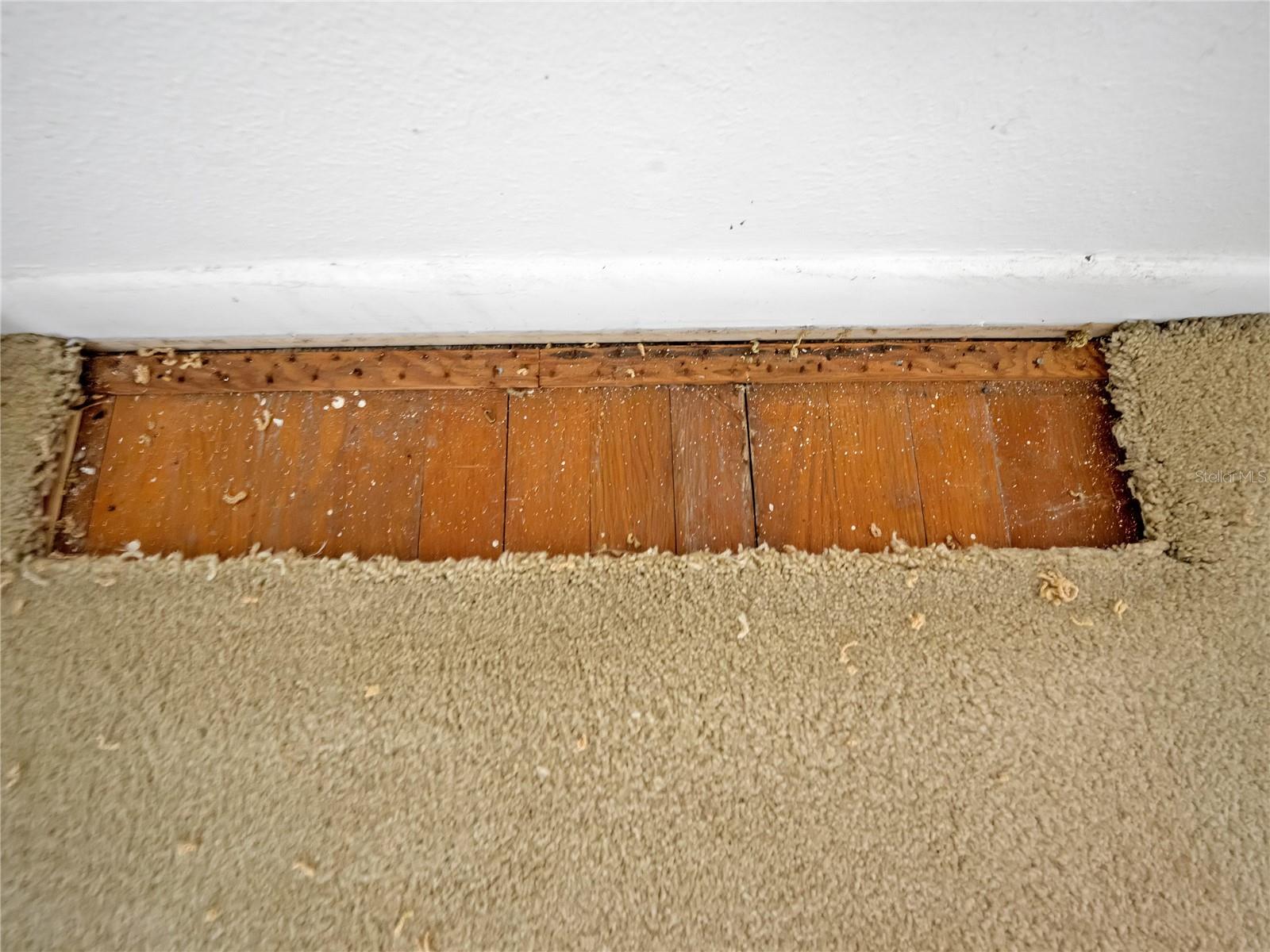 Listing photo id 34 for 1631 17th Street