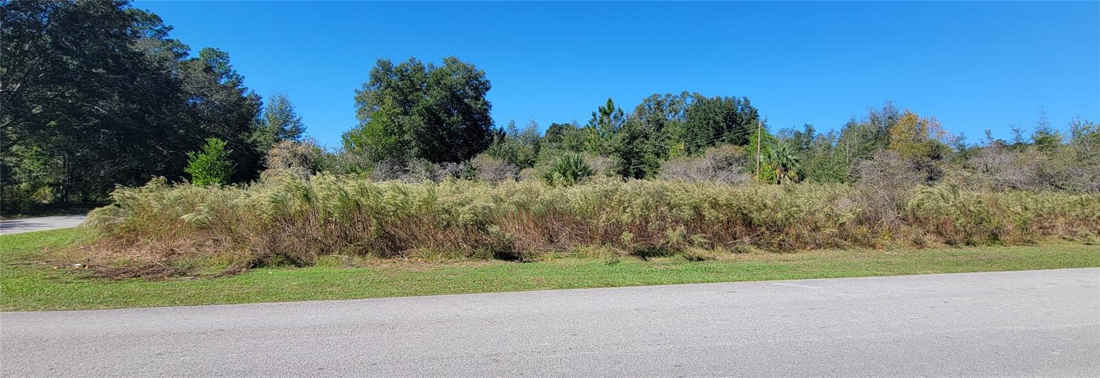 Image 2 of 7 For 0 82nd Place