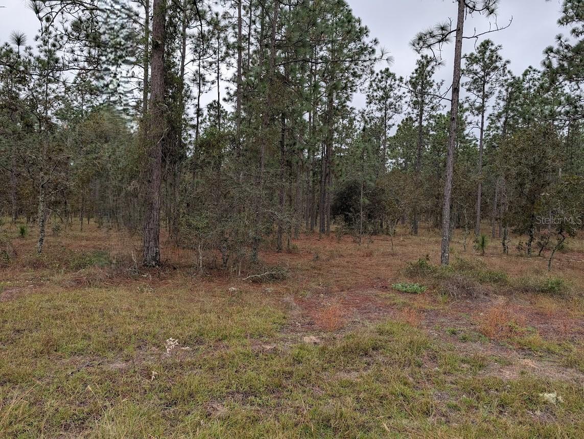 Details for Lot 13 Geranium Avenue, DUNNELLON, FL 34431