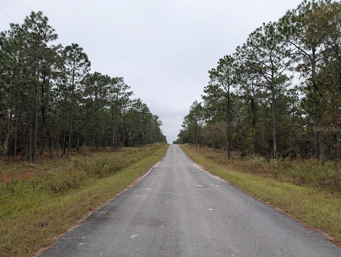 Image 4 of 12 For Lot 13 Geranium Avenue