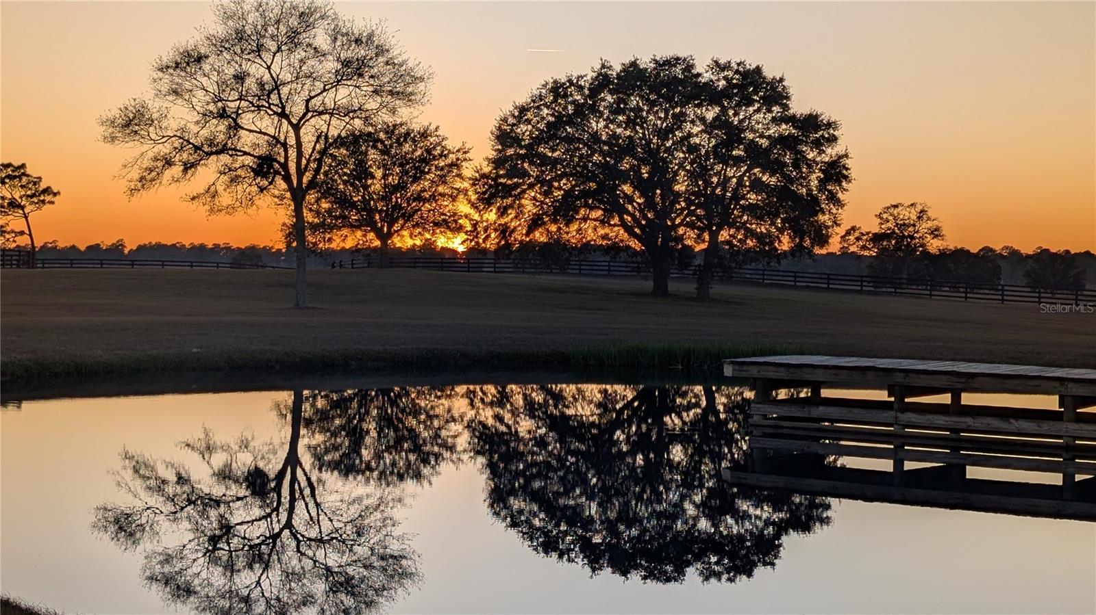 Listing photo id 28 for 18800 47th Place