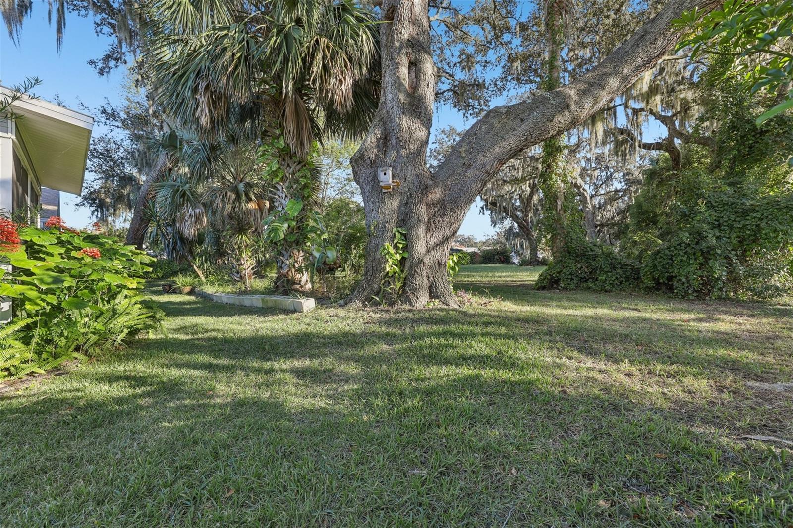 Image 34 of 54 For 304 Brigadoon Circle