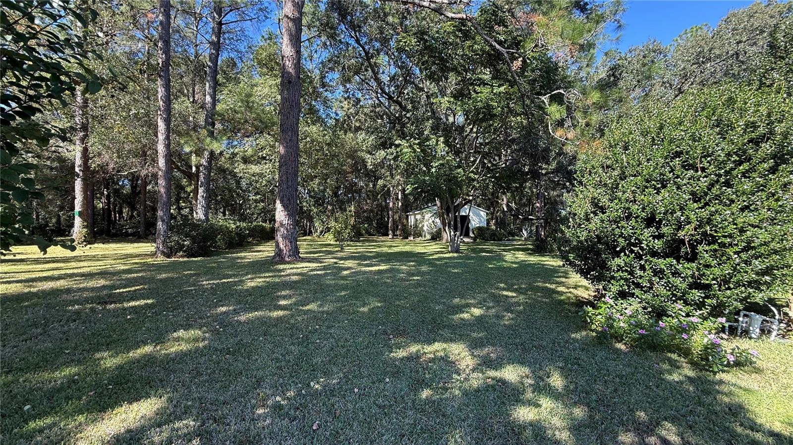 Image 32 of 37 For 436 61st Terrace