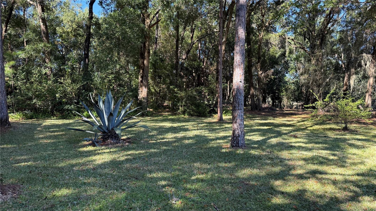 Image 34 of 37 For 436 61st Terrace