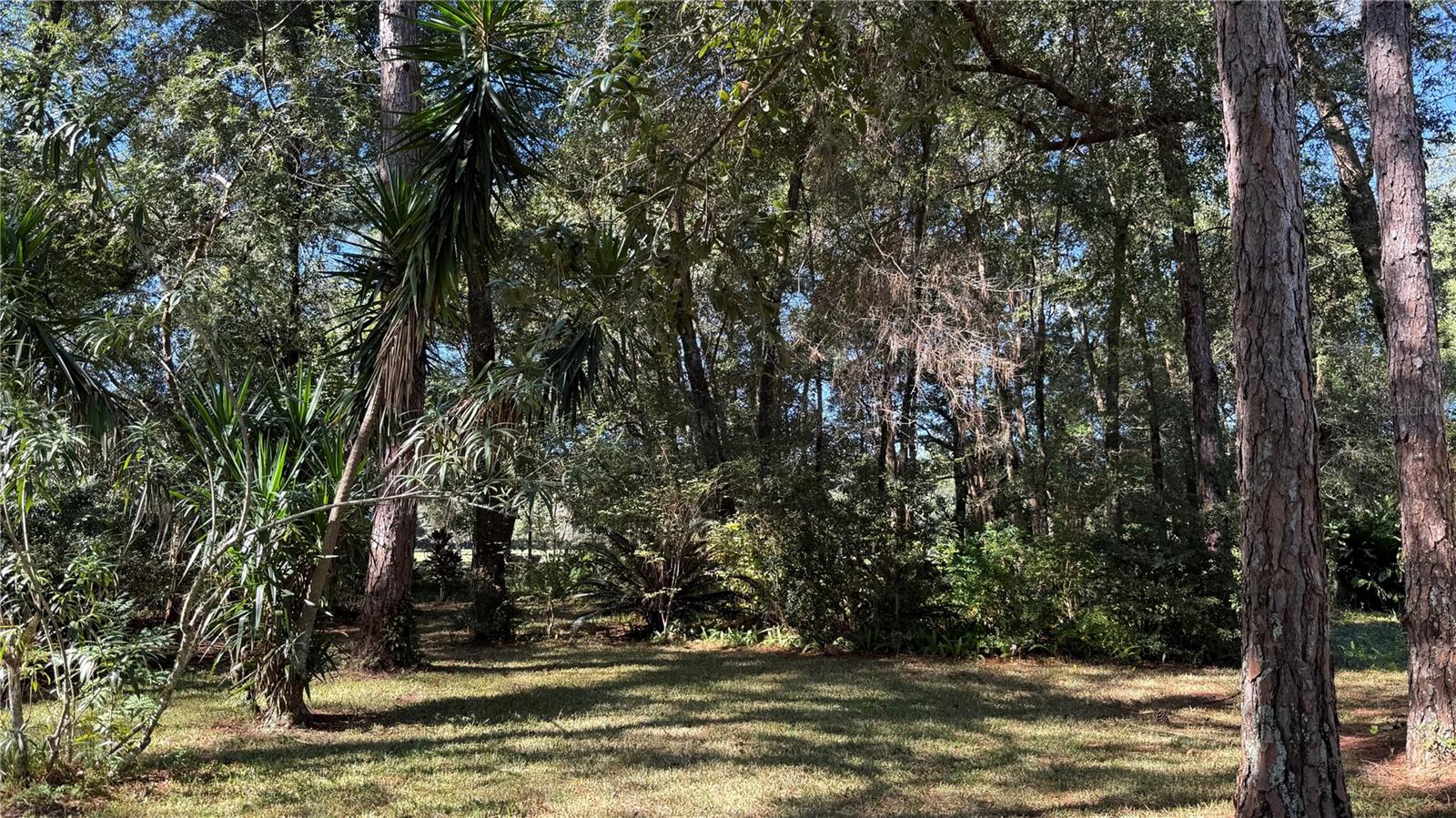 Image 35 of 37 For 436 61st Terrace