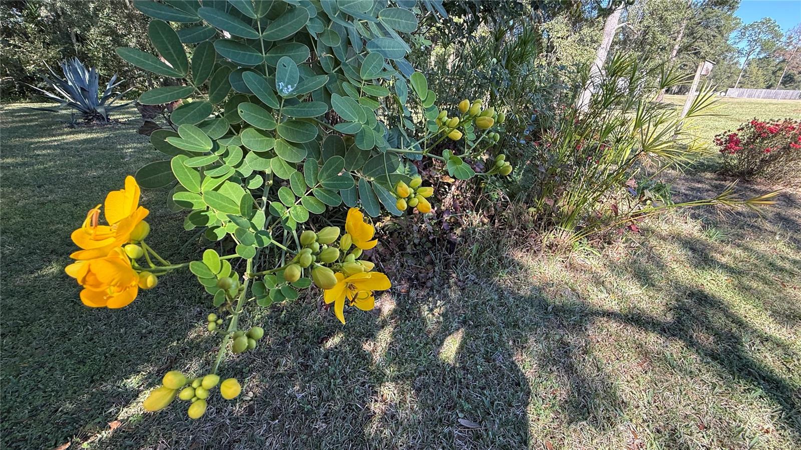 Image 37 of 37 For 436 61st Terrace