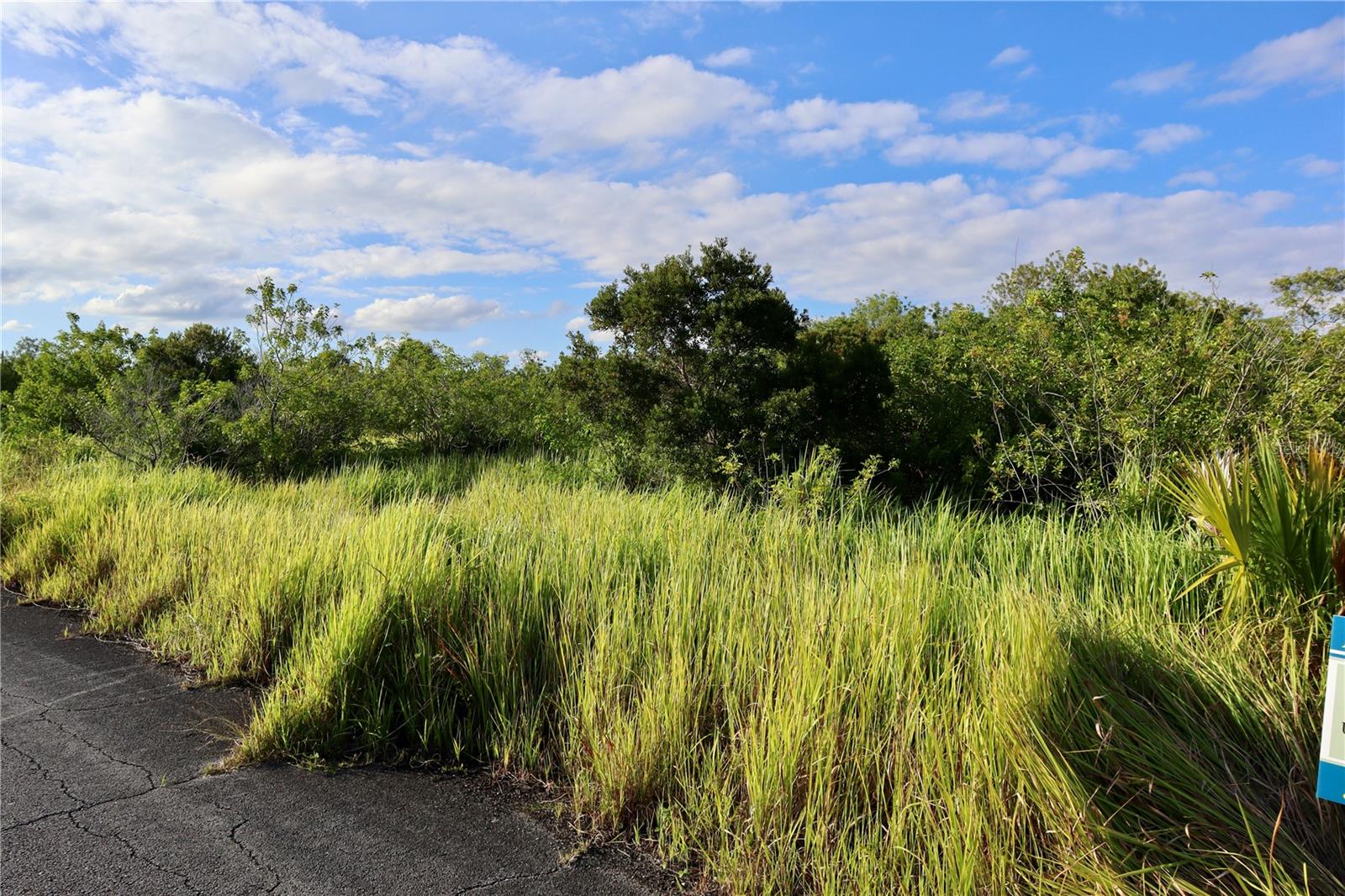 Image 10 of 21 For 1269 Roland Street Sw