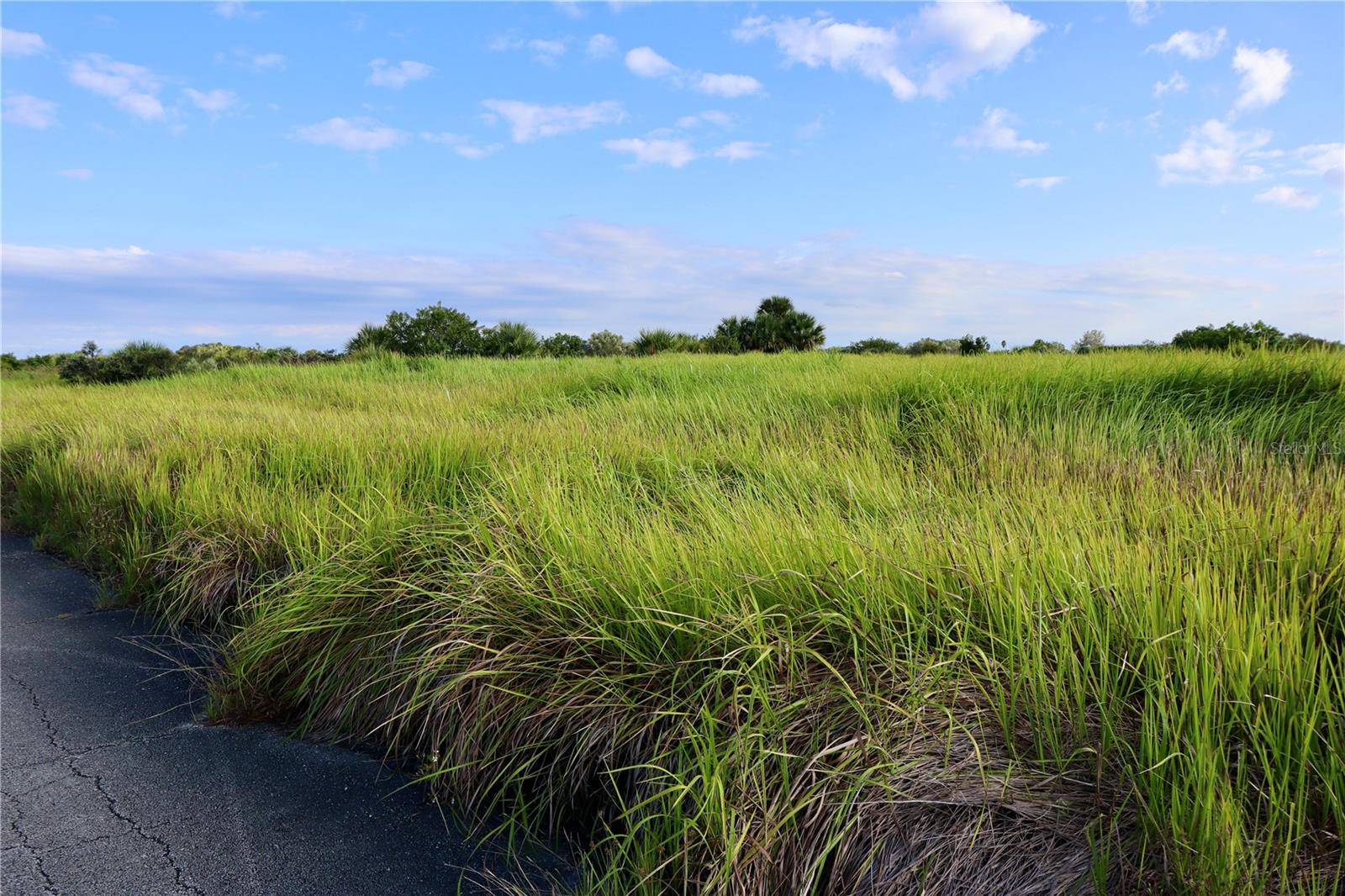 Image 12 of 21 For 1269 Roland Street Sw