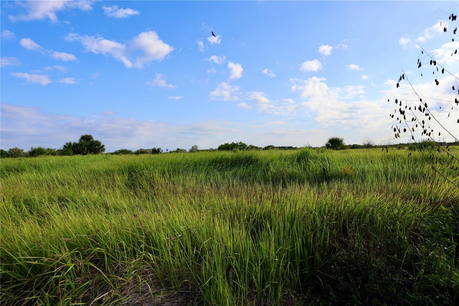 Image 13 of 21 For 1269 Roland Street Sw