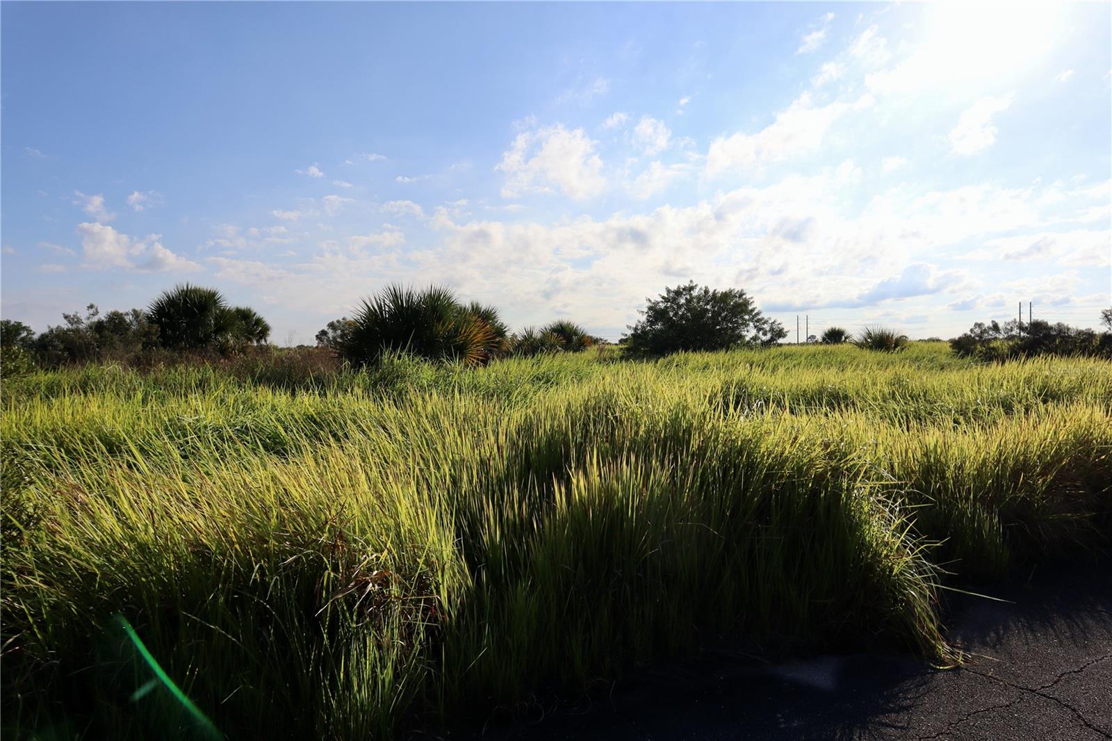 Image 19 of 21 For 1269 Roland Street Sw