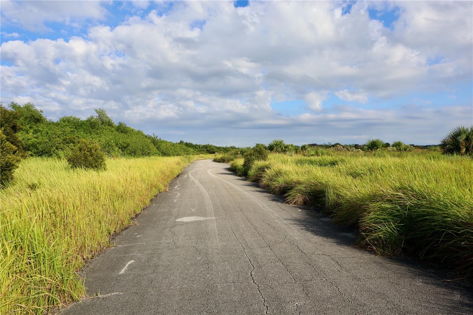 Image 2 of 21 For 1269 Roland Street Sw