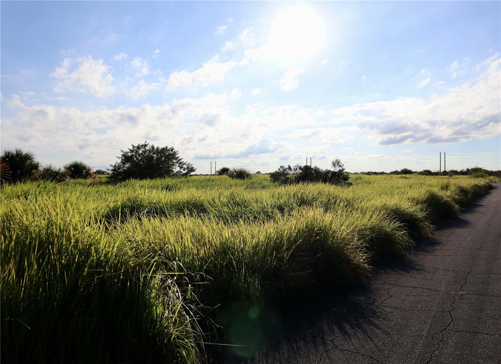 Image 20 of 21 For 1269 Roland Street Sw