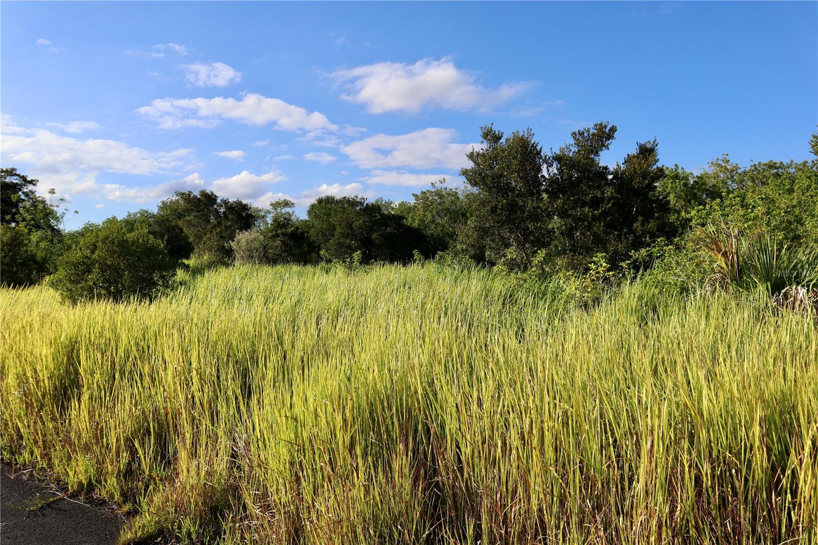 Image 21 of 21 For 1269 Roland Street Sw