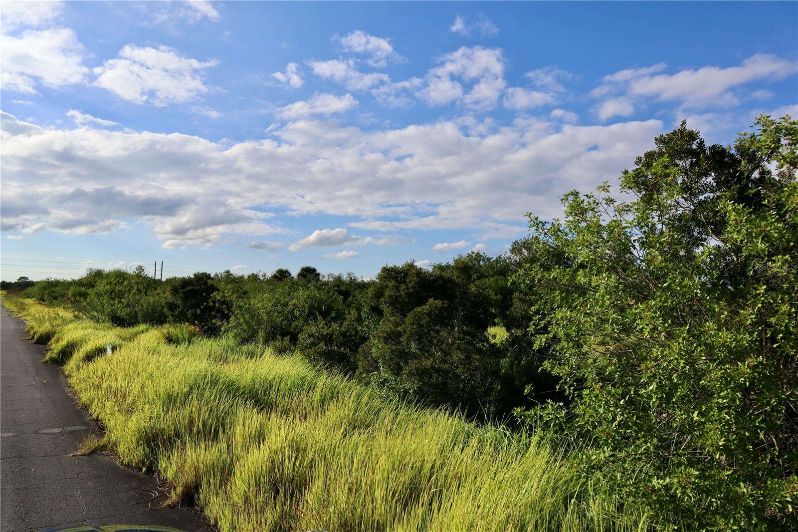 Image 3 of 21 For 1269 Roland Street Sw