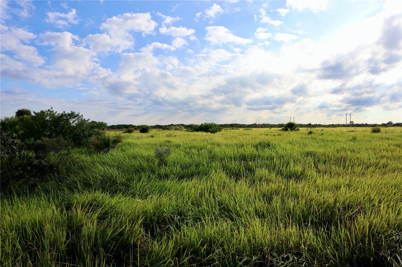 Image 5 of 21 For 1269 Roland Street Sw