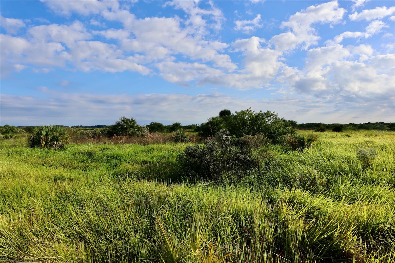 Image 6 of 21 For 1269 Roland Street Sw