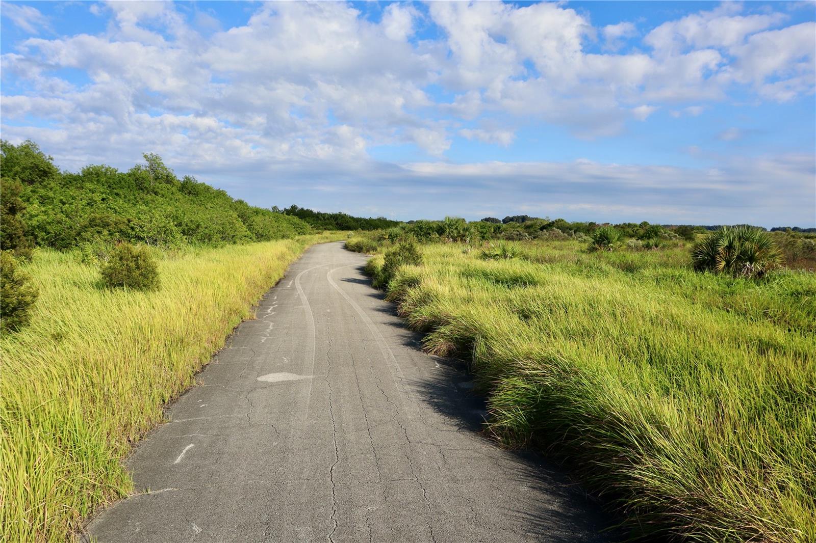 Image 7 of 21 For 1269 Roland Street Sw