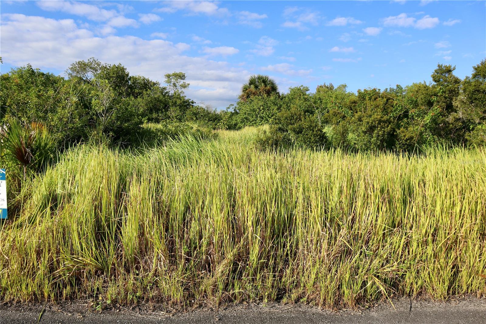 Image 8 of 21 For 1269 Roland Street Sw