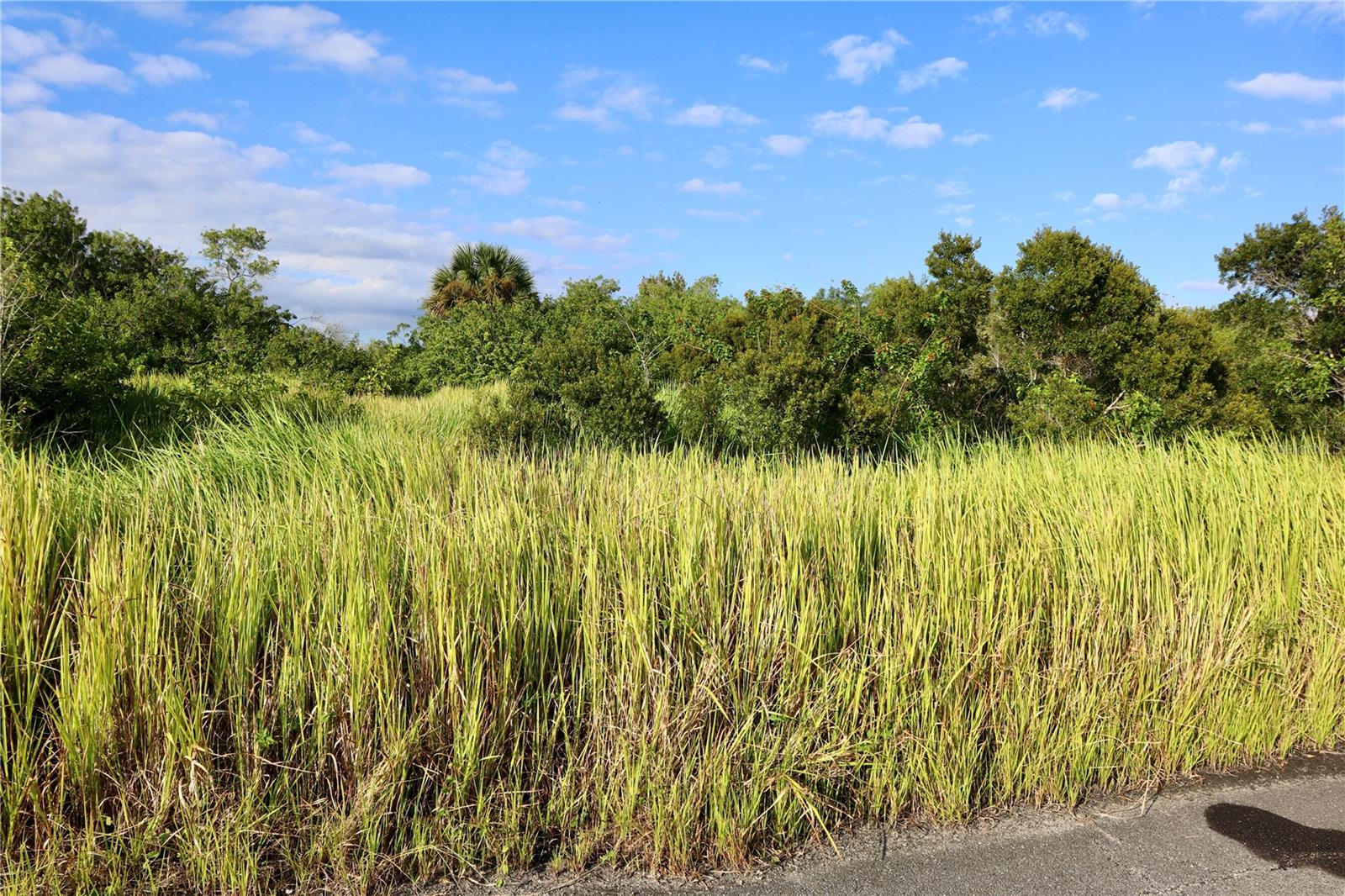 Image 9 of 21 For 1269 Roland Street Sw