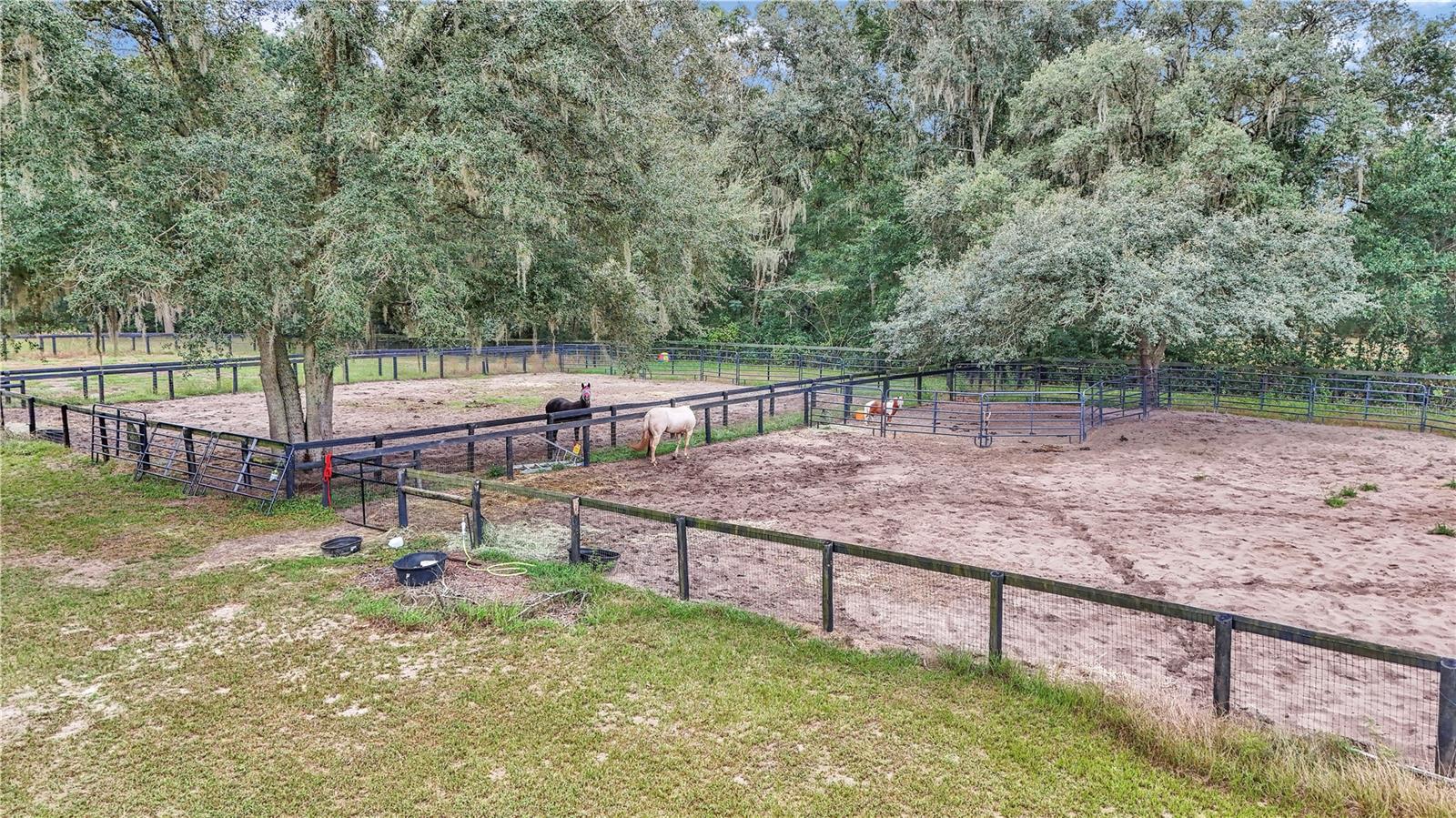 Image 13 of 34 For 19597 70th Lane