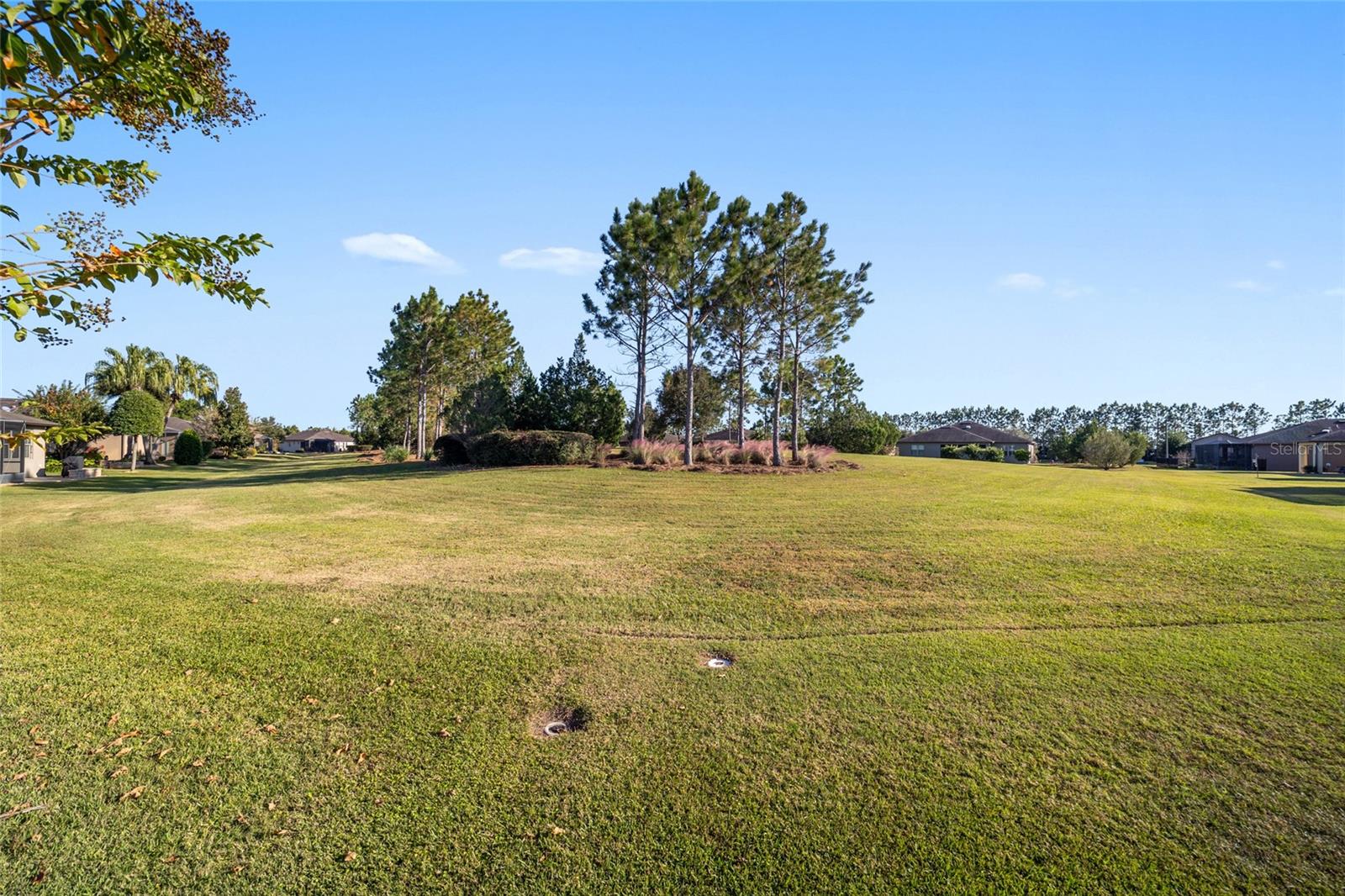 Image 50 of 69 For 10106 77th Loop