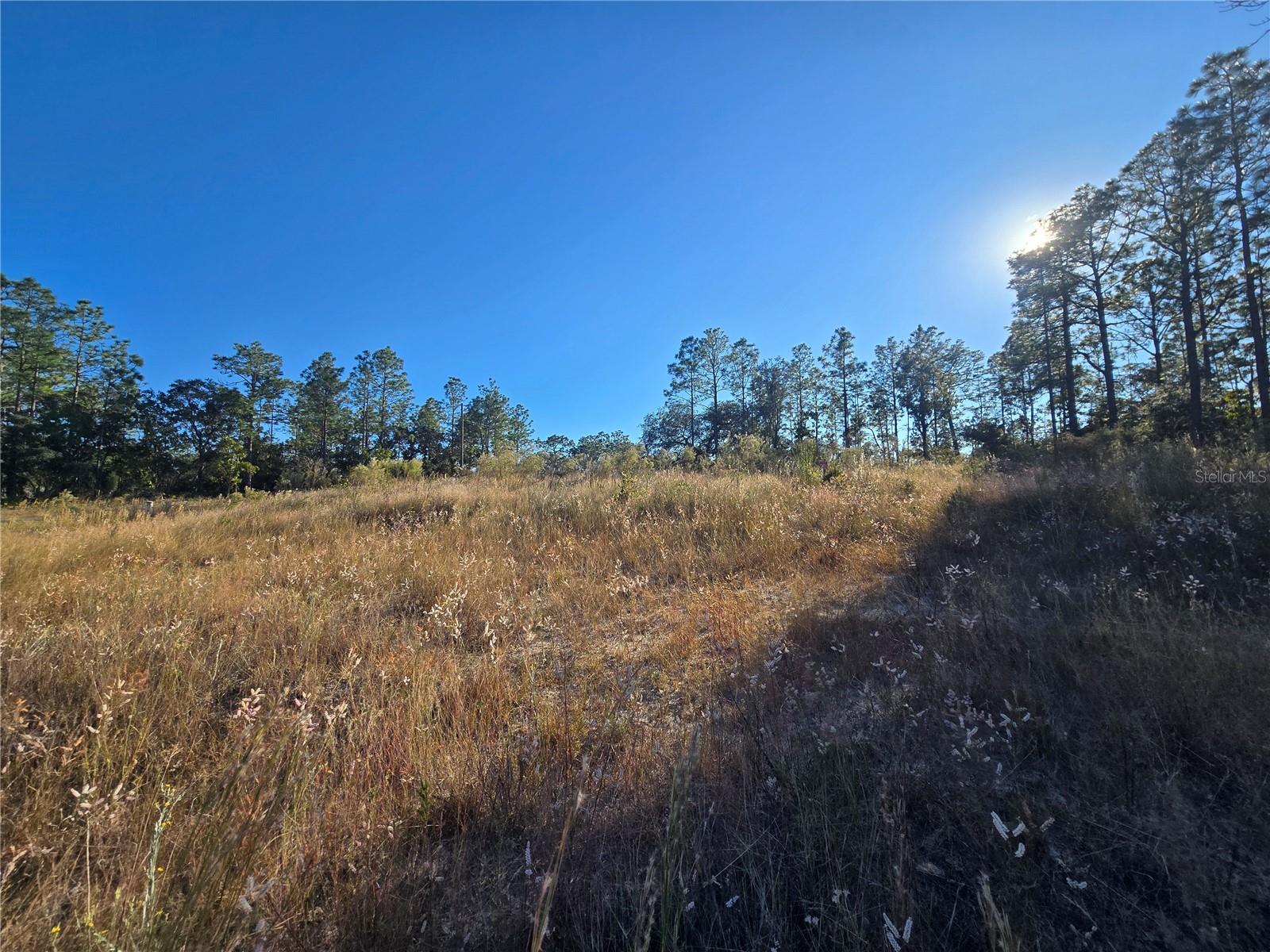 Image 10 of 11 For 9388 Old Mill Way