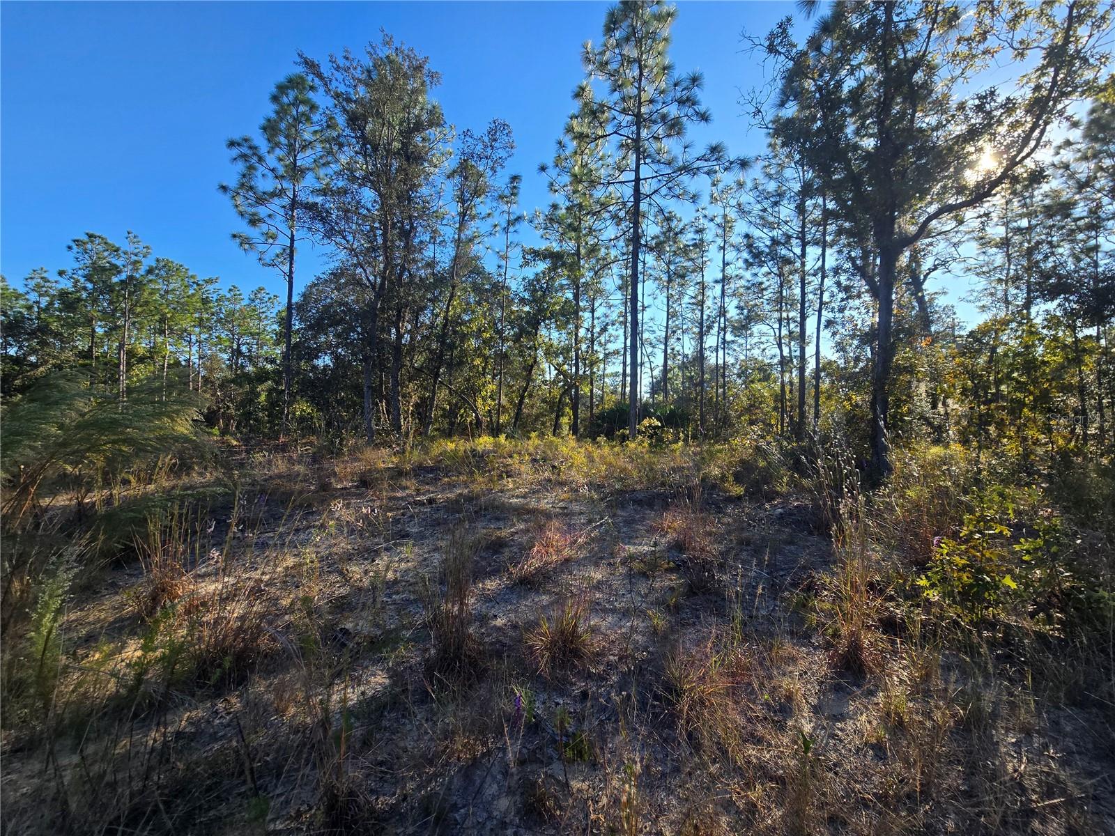 Image 6 of 11 For 9388 Old Mill Way